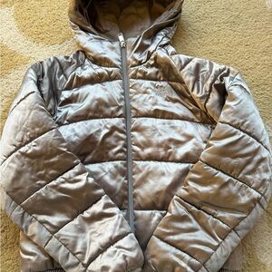 The North Face Kids Metallic Gray Puffer Jacket